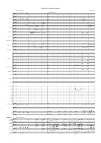Pour les sonoritées opposées - Instrumentierung Andreas F. Staffel